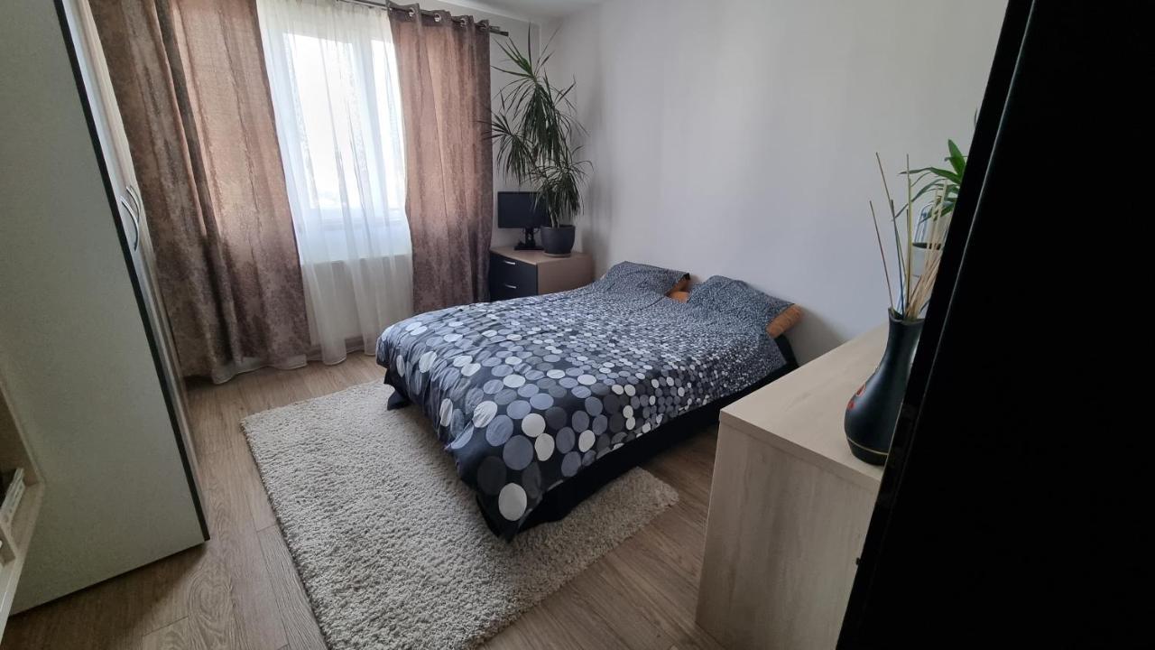 Rasnov Loft Daire Dış mekan fotoğraf