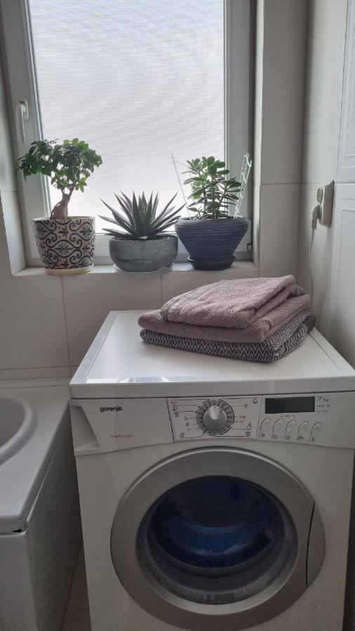 Rasnov Loft Daire Dış mekan fotoğraf